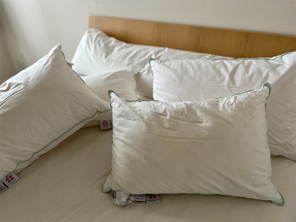 f:id:peta2o22:20230703174436j:image