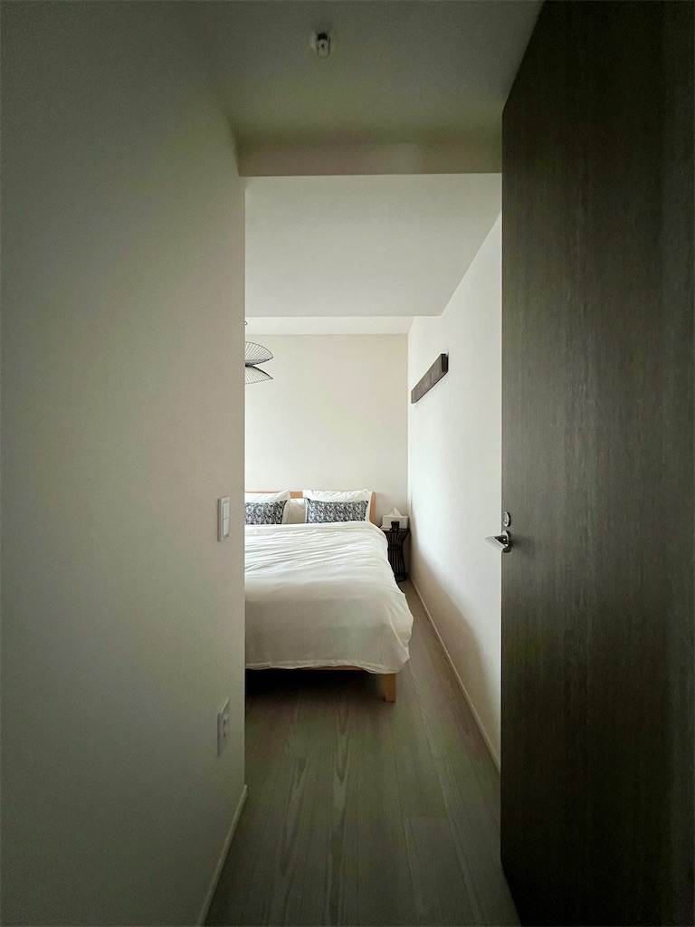 f:id:peta2o22:20230703174448j:image