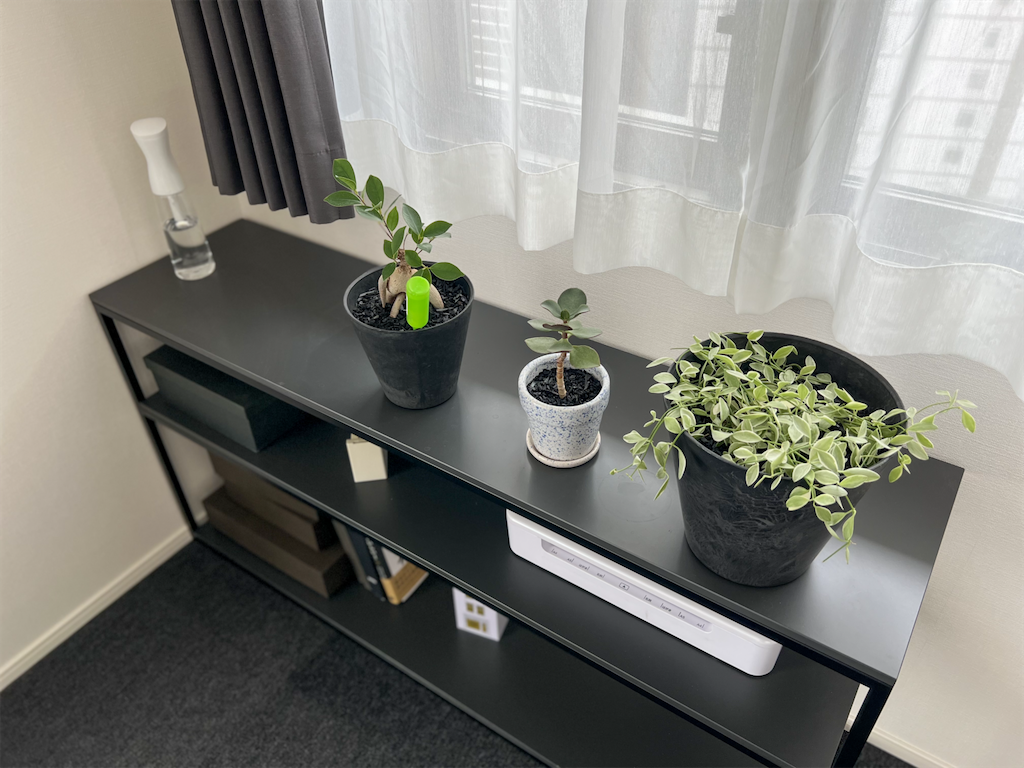 f:id:peta2o22:20230716221111p:image