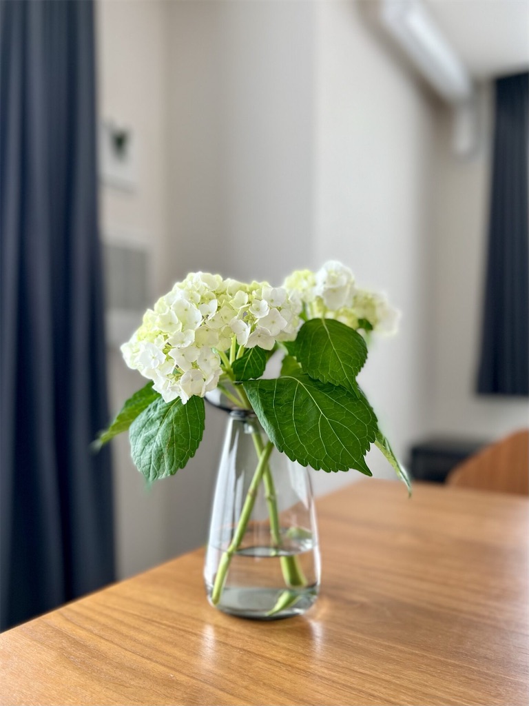 f:id:peta2o22:20230722145641j:image