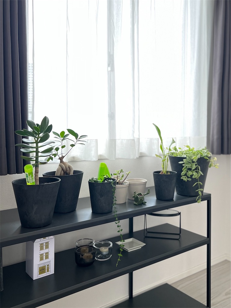 f:id:peta2o22:20230814134749j:image