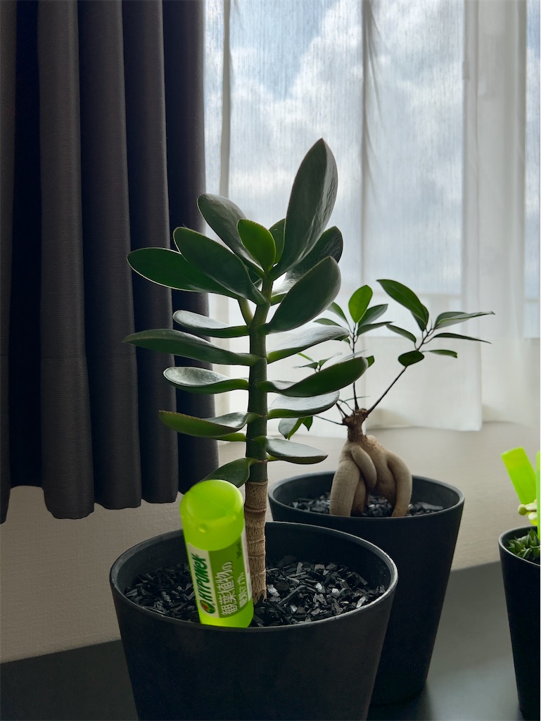 f:id:peta2o22:20230814134756j:image