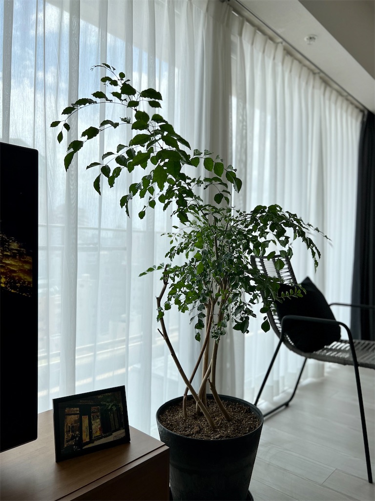 f:id:peta2o22:20230814134805j:image