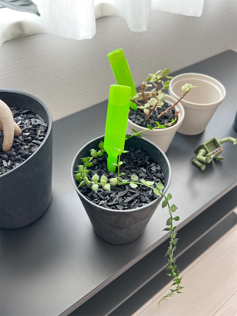 f:id:peta2o22:20230814134856j:image