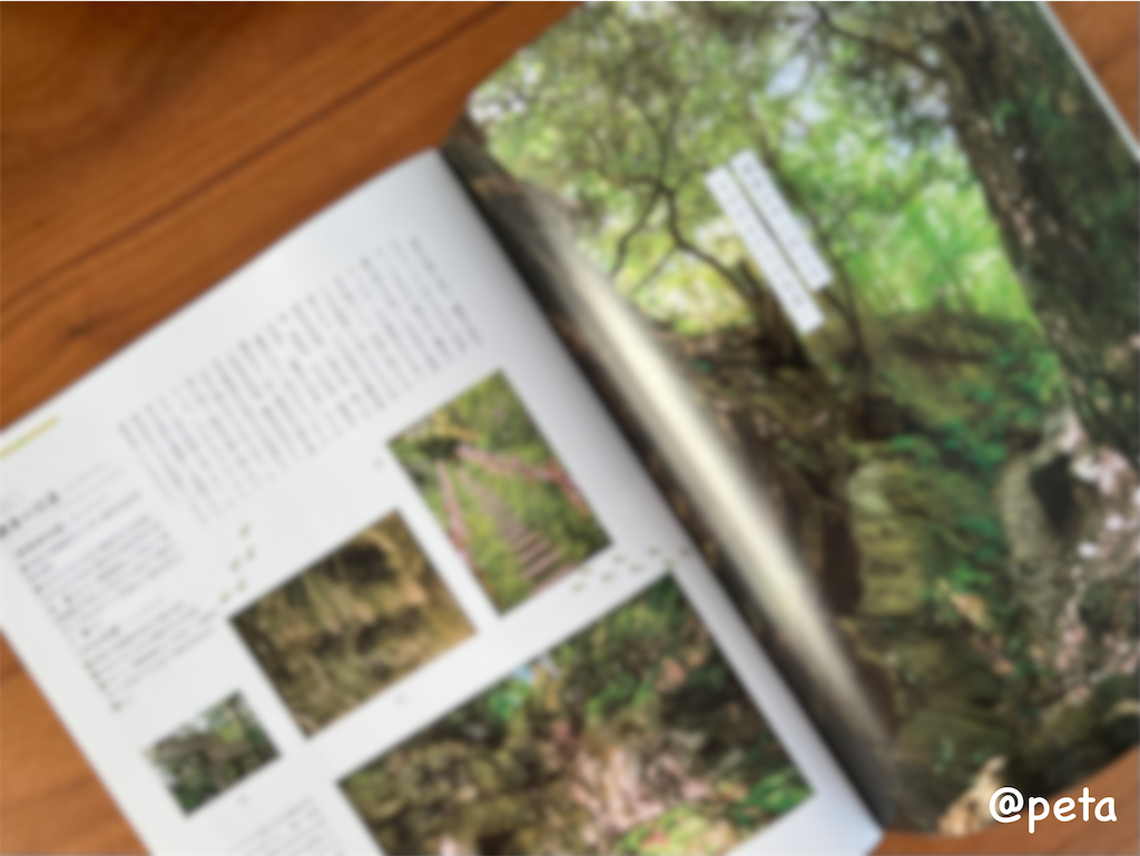 f:id:peta2o22:20230904172931p:image