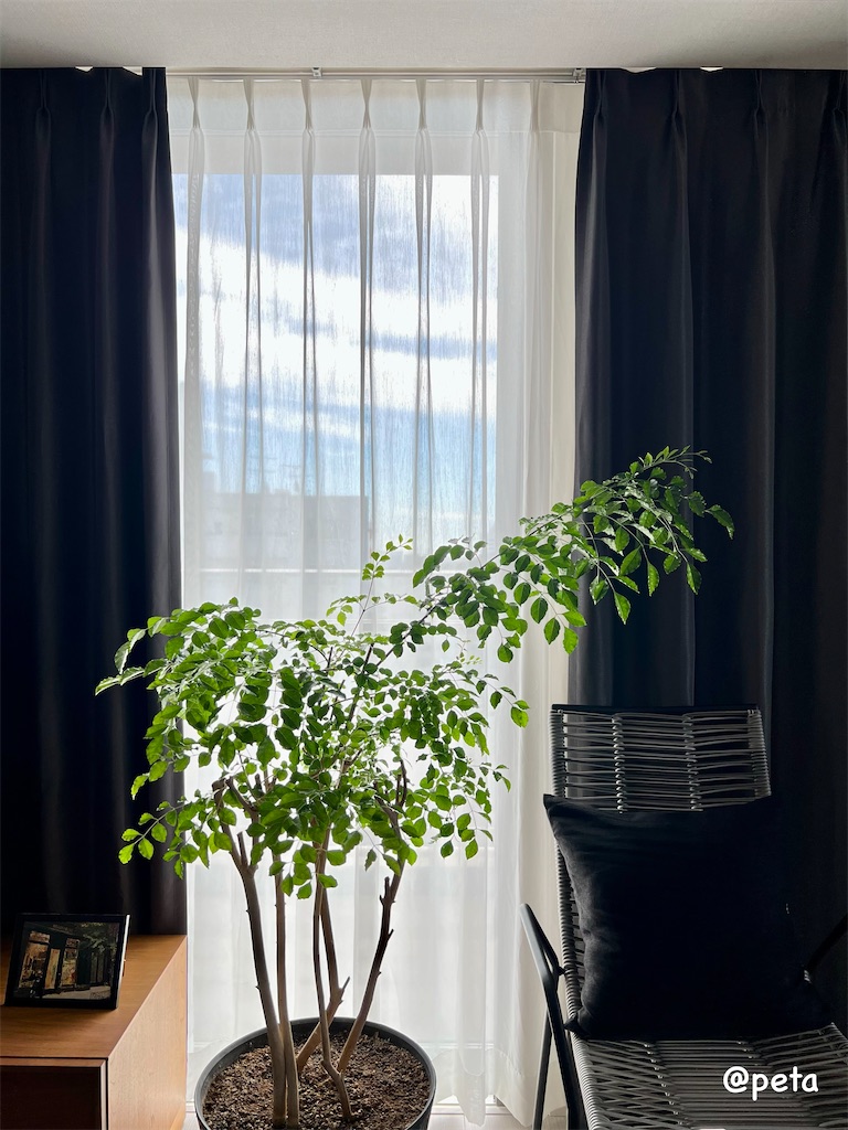 f:id:peta2o22:20230926154337j:image