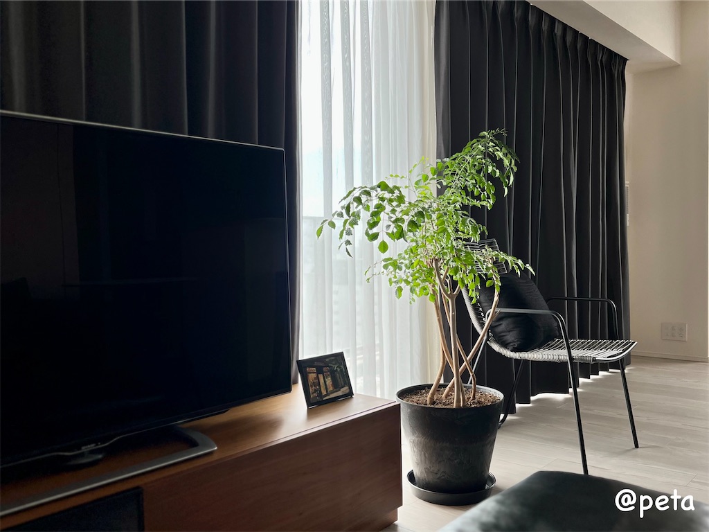 f:id:peta2o22:20230926154343j:image