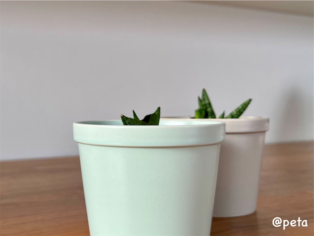 f:id:peta2o22:20231002164739j:image