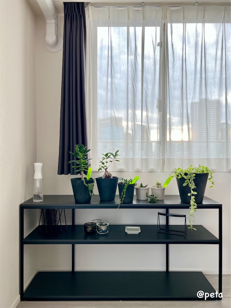 f:id:peta2o22:20231002171717j:image