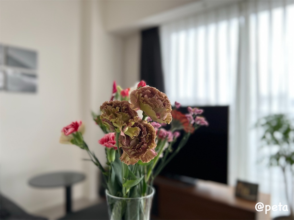 f:id:peta2o22:20231004120313j:image