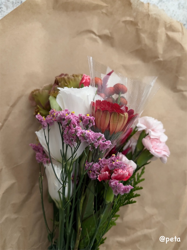 f:id:peta2o22:20231004120316j:image