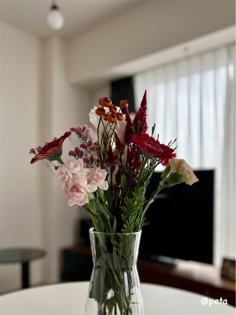 f:id:peta2o22:20231004120319j:image