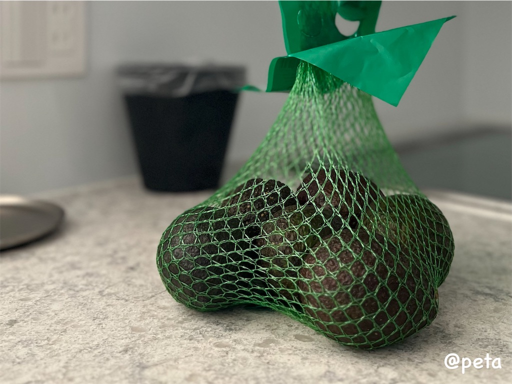 f:id:peta2o22:20231018161304j:image