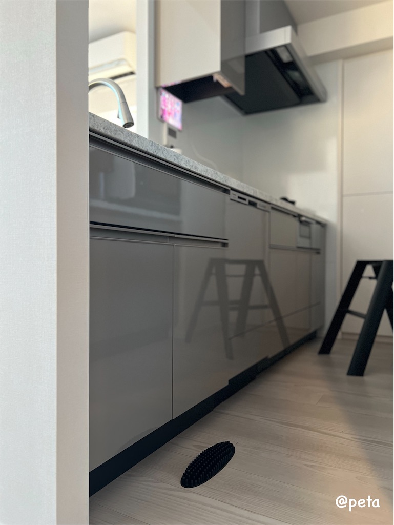 f:id:peta2o22:20231026094533j:image