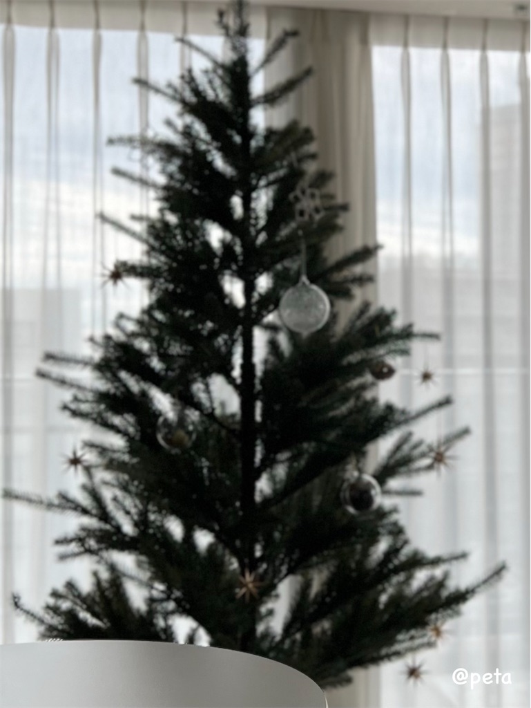 f:id:peta2o22:20231107140018j:image