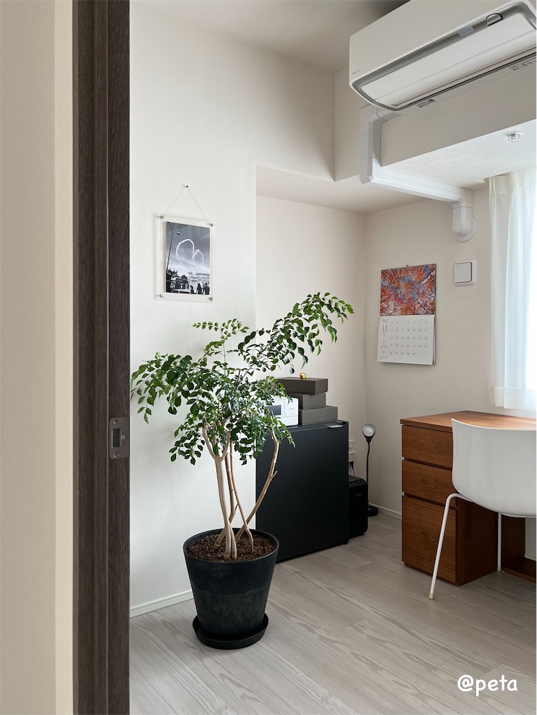 f:id:peta2o22:20231107140053j:image