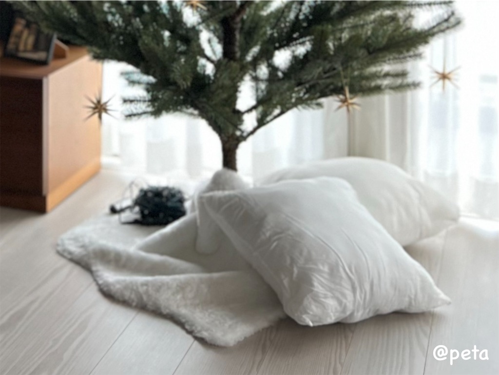 f:id:peta2o22:20231109162742j:image