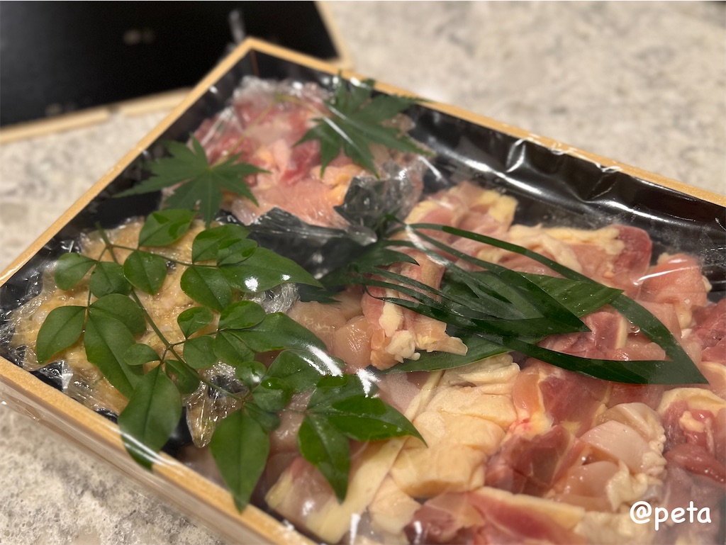 f:id:peta2o22:20231125203507j:image