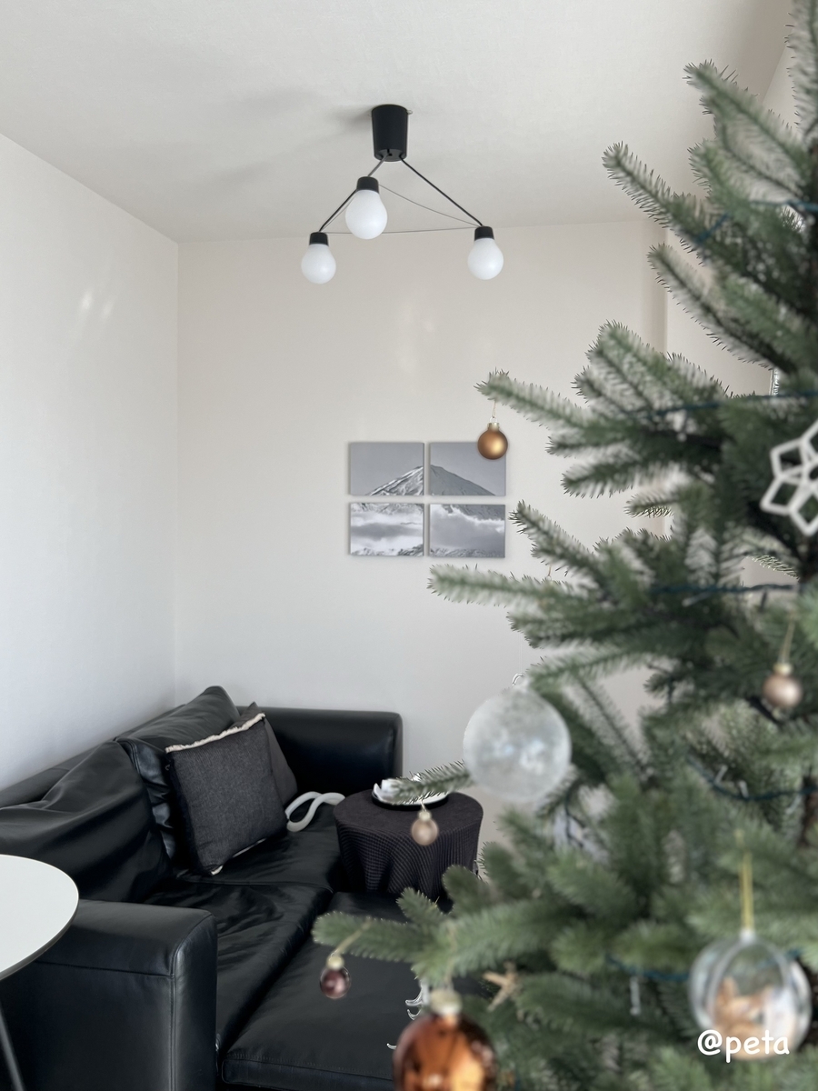 リビングの壁にに飾っている富士山の写真