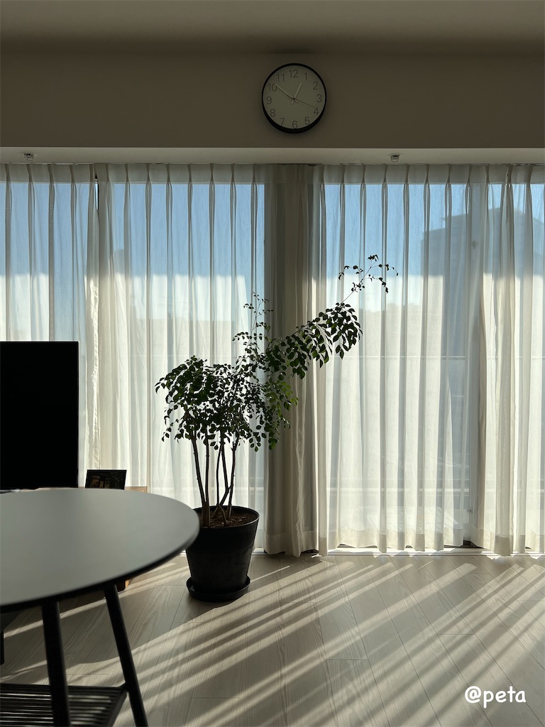 f:id:peta2o22:20231229155327j:image