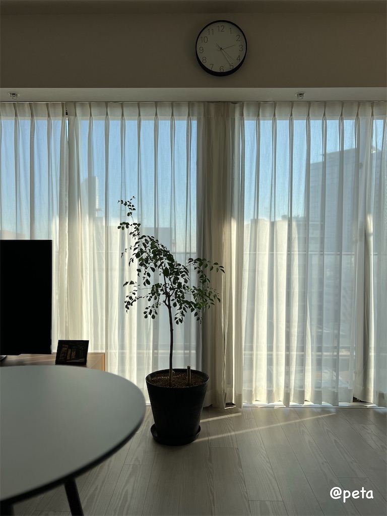 f:id:peta2o22:20231229155342j:image