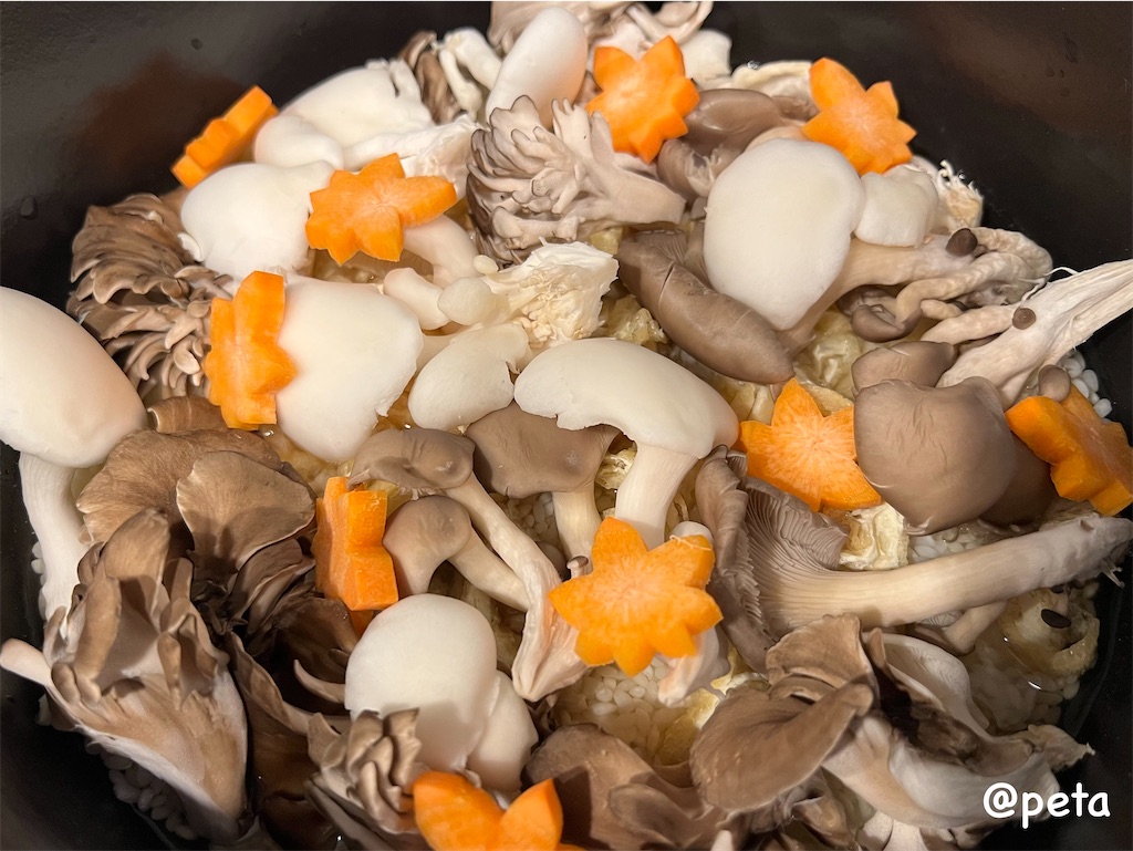 f:id:peta2o22:20240124141507j:image