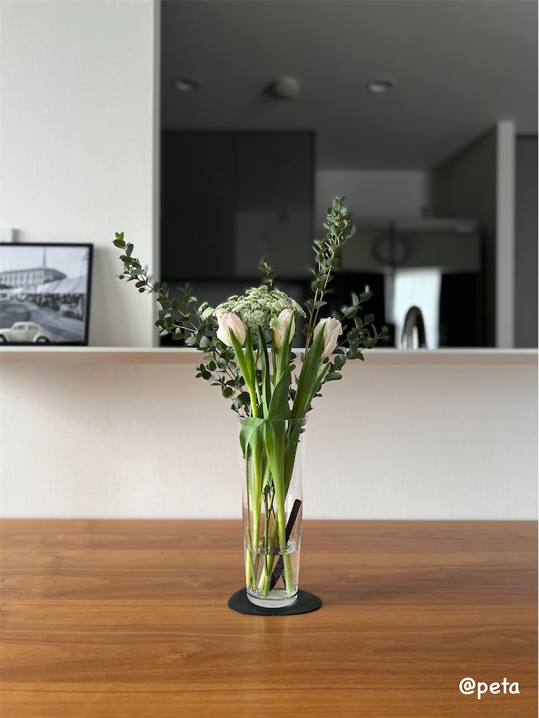 f:id:peta2o22:20240206153339j:image