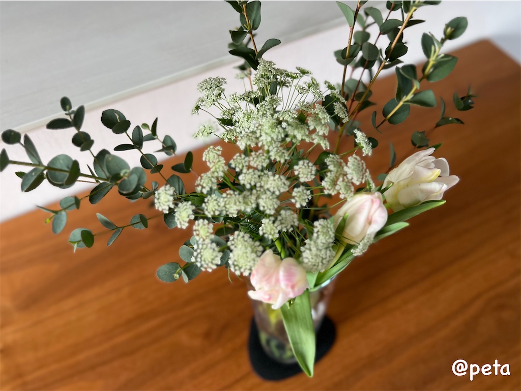 f:id:peta2o22:20240206153342j:image