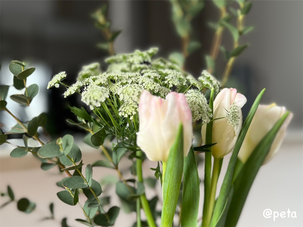 f:id:peta2o22:20240206153345j:image