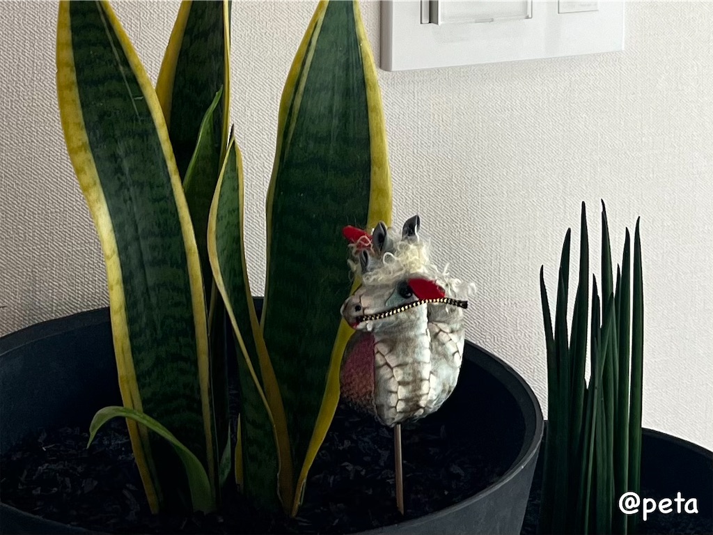 f:id:peta2o22:20240206153353j:image