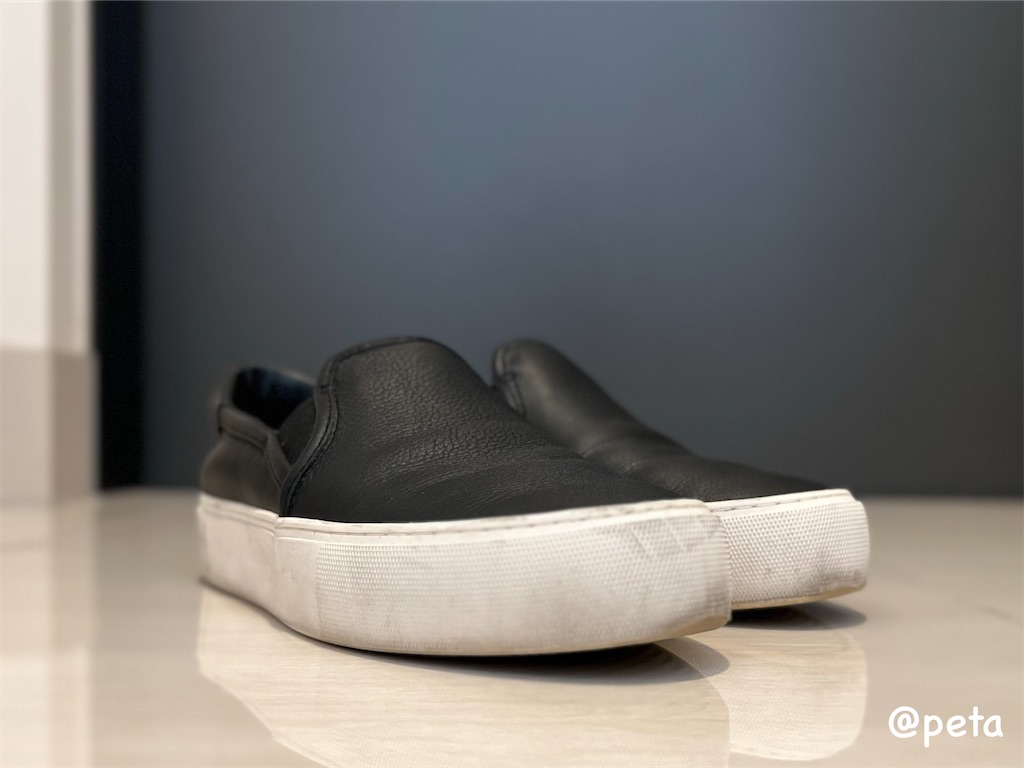 f:id:peta2o22:20240213160223j:image