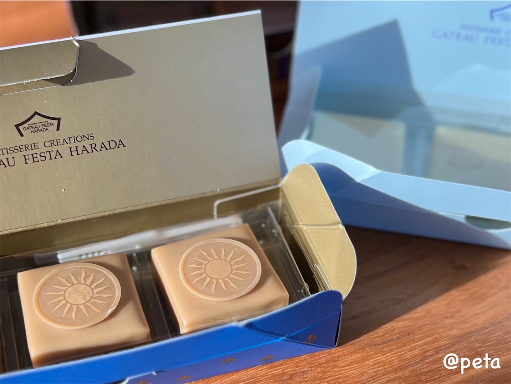 f:id:peta2o22:20240213192652j:image