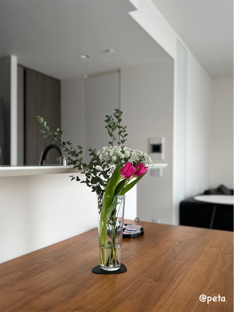 f:id:peta2o22:20240214155920j:image