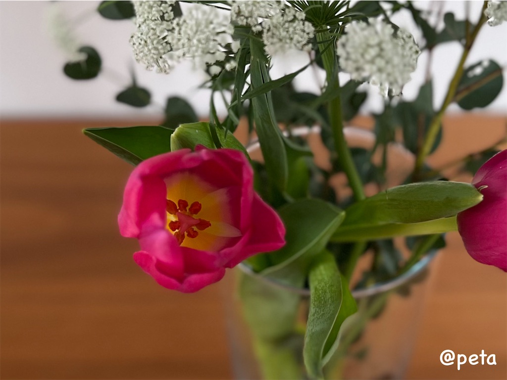 f:id:peta2o22:20240214155923j:image