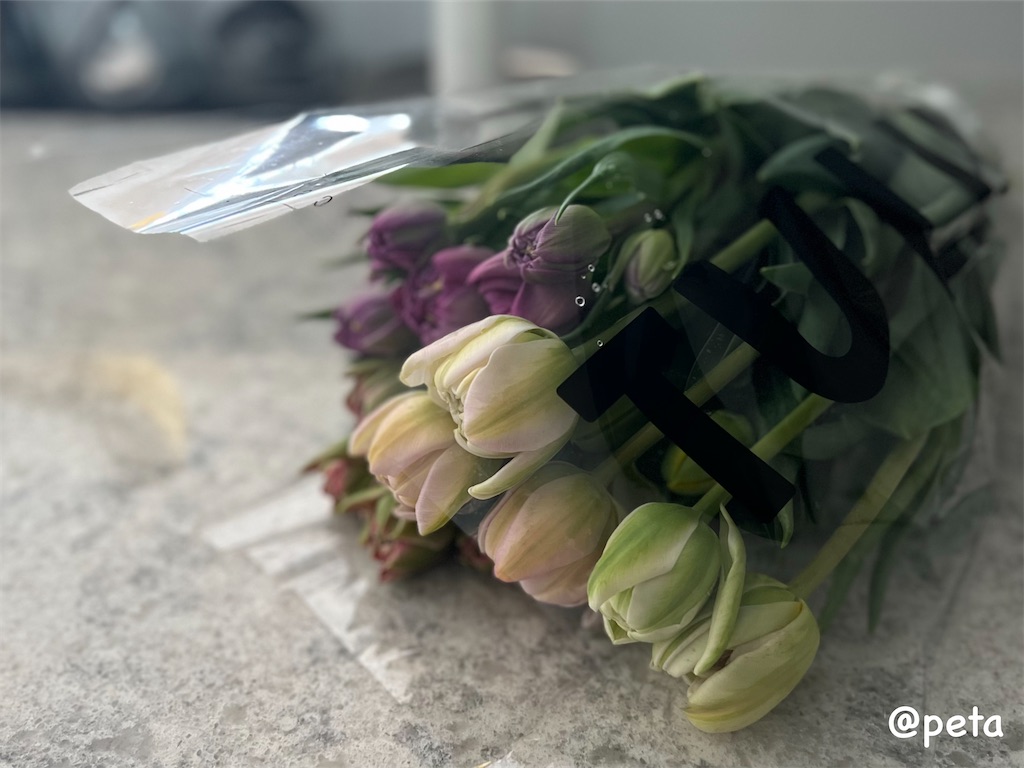 f:id:peta2o22:20240301160858j:image