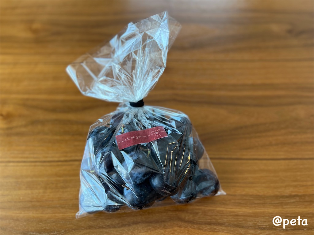 f:id:peta2o22:20240315154739j:image