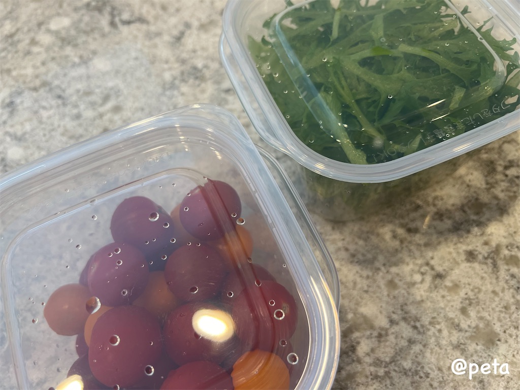 f:id:peta2o22:20240319145914j:image