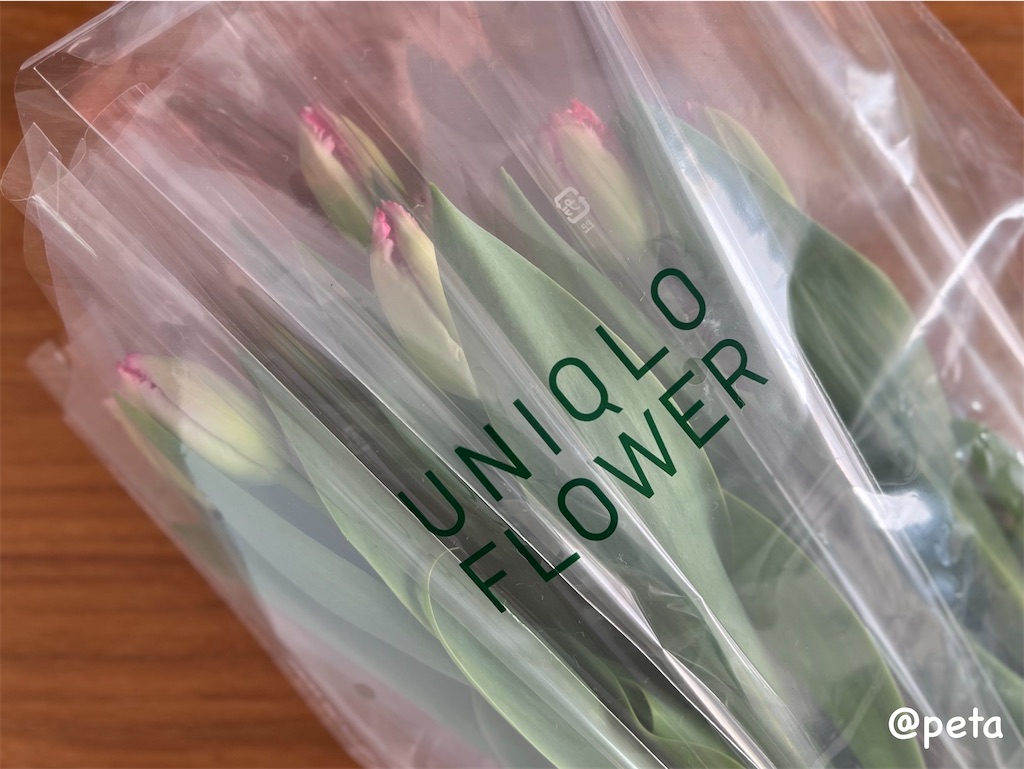 f:id:peta2o22:20240320154715j:image