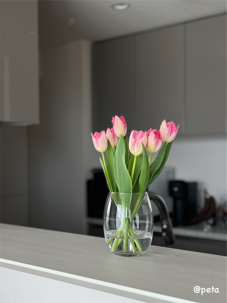 f:id:peta2o22:20240320154719j:image