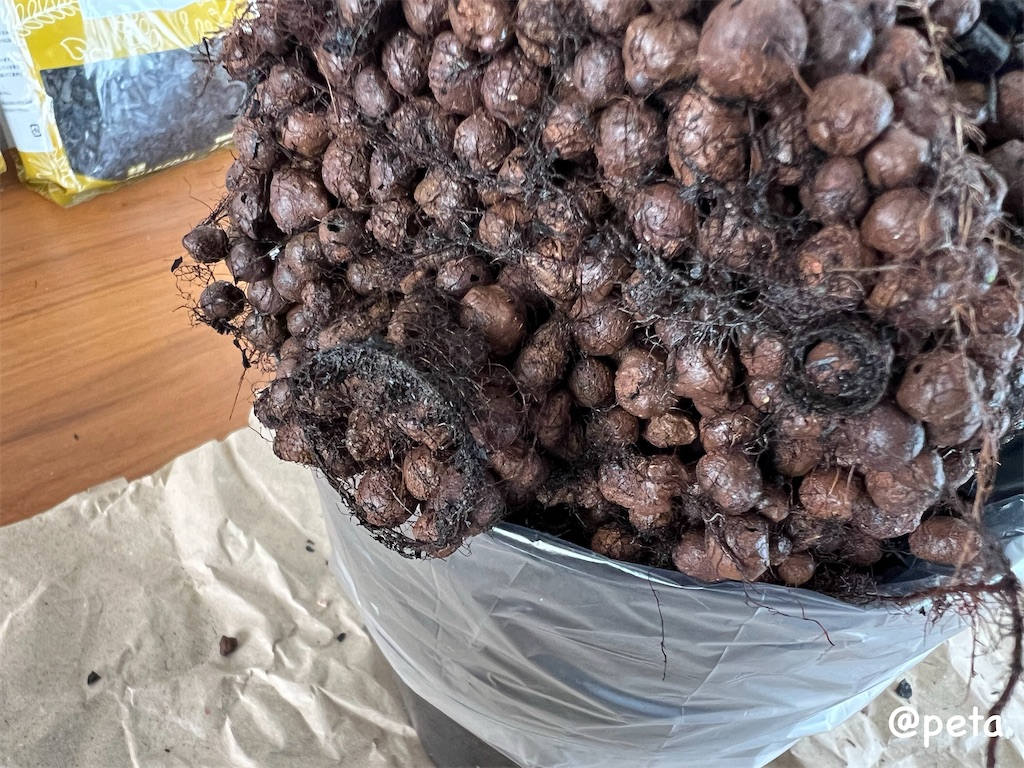 f:id:peta2o22:20240402151957j:image