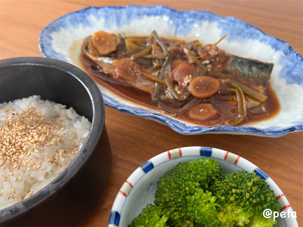 f:id:peta2o22:20240412223213j:image