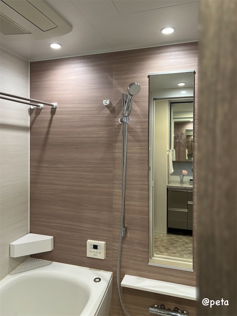 f:id:peta2o22:20240417151403j:image