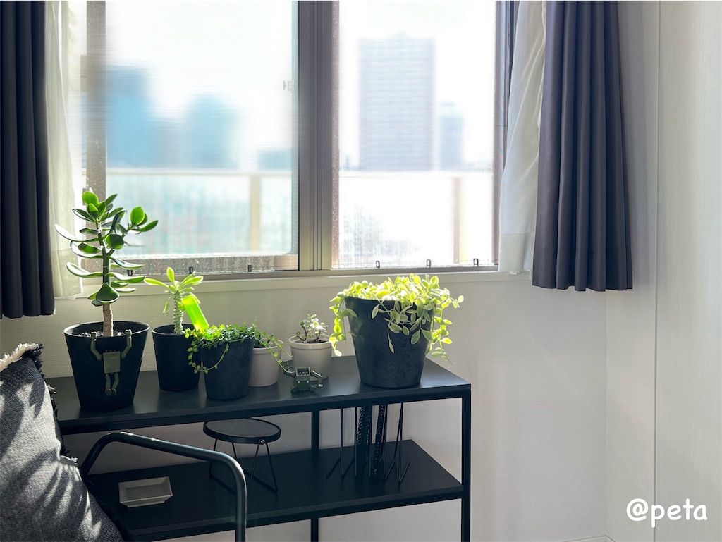 f:id:peta2o22:20240426152728j:image