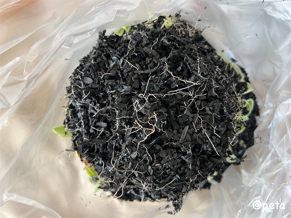 f:id:peta2o22:20240426152731j:image