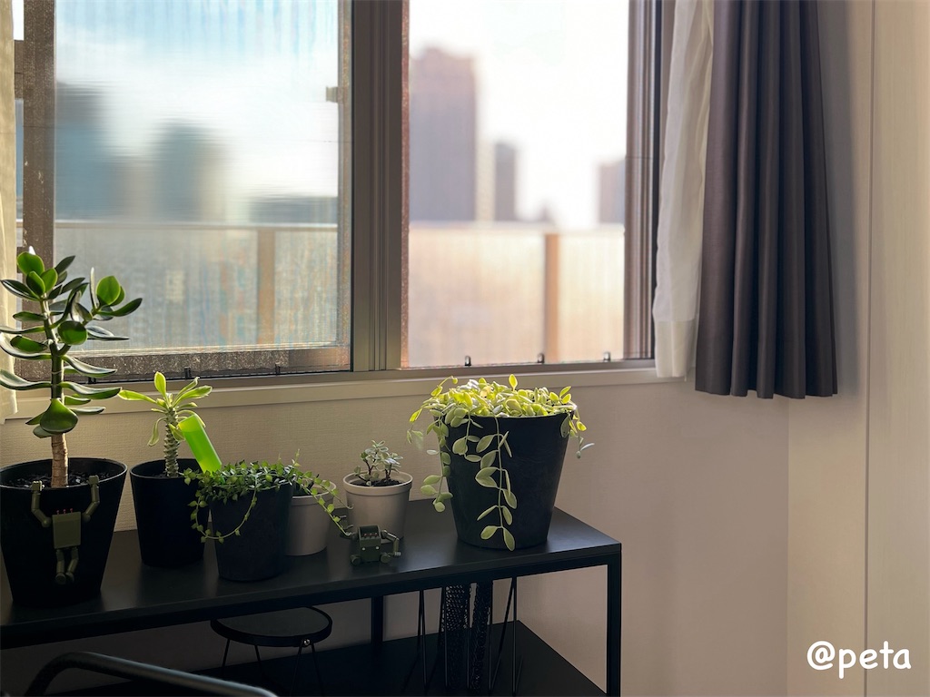 f:id:peta2o22:20240426152734j:image