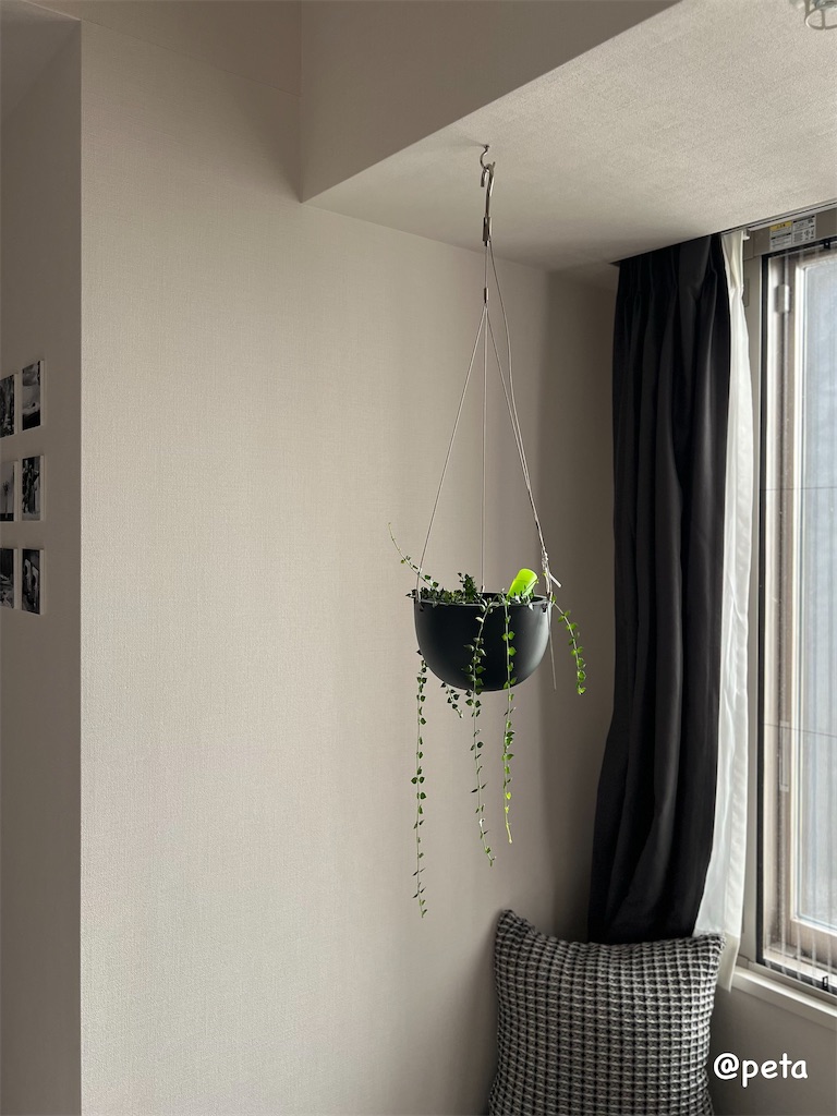 f:id:peta2o22:20240512150352j:image