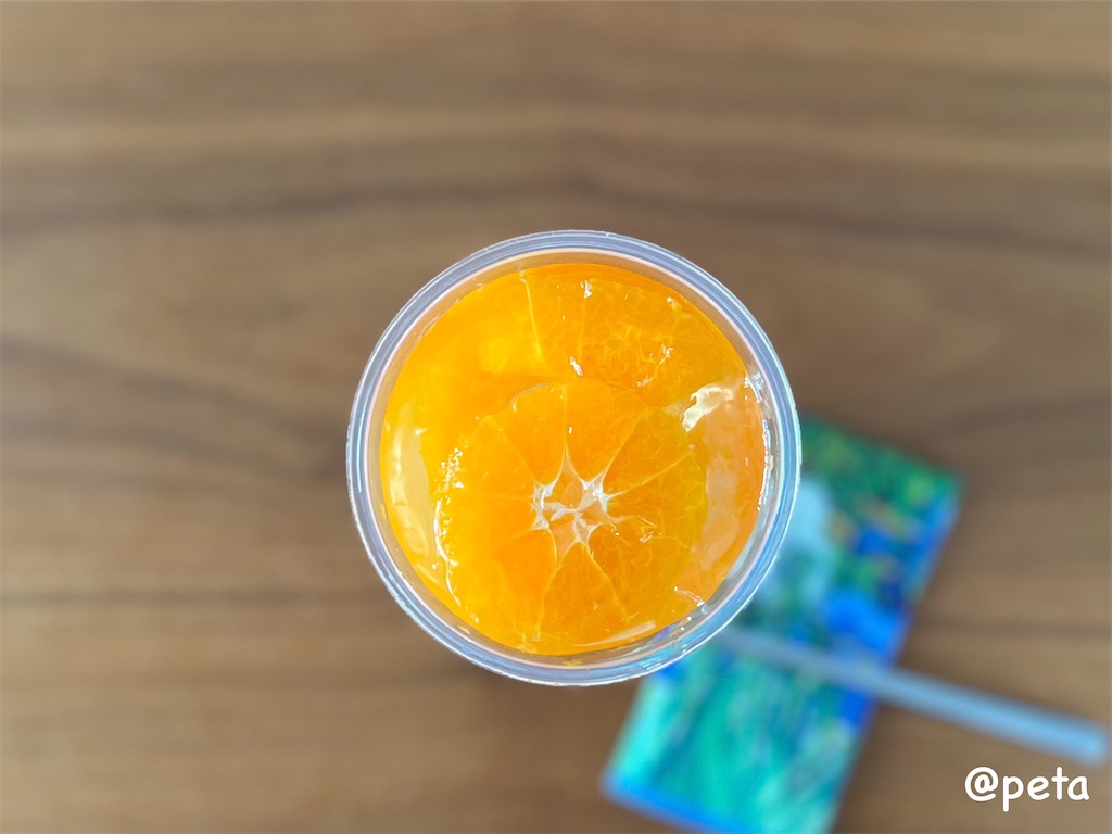 f:id:peta2o22:20240601160752j:image