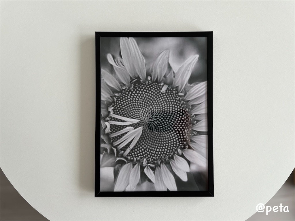 f:id:peta2o22:20240602165055j:image