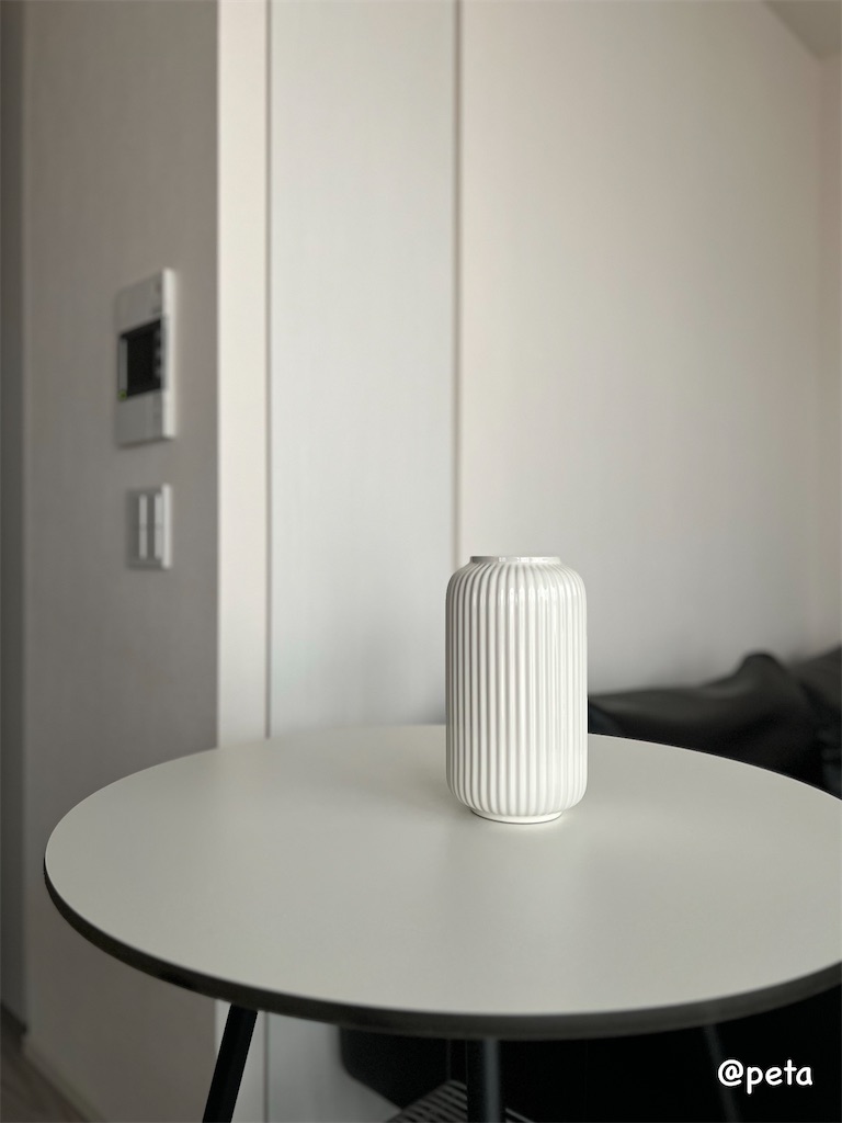 f:id:peta2o22:20240602165104j:image