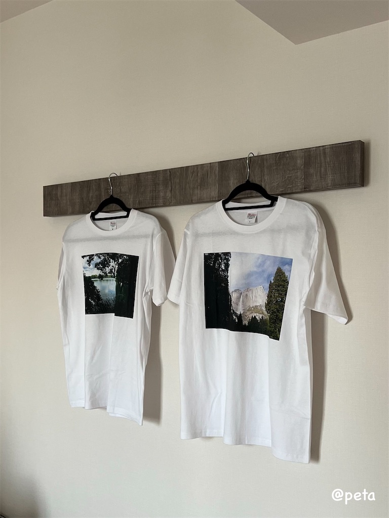 f:id:peta2o22:20240609022946j:image